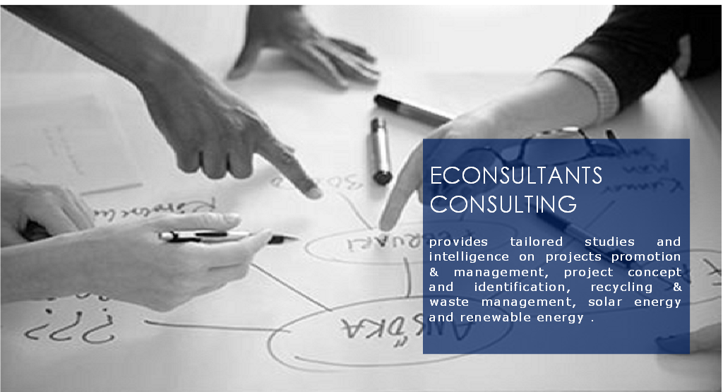 econsultants consulting
